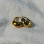 Golden Droplet Earrings